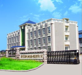 淄博東能煤氣工程技術開發 創新驅動，助力能源可持續發展