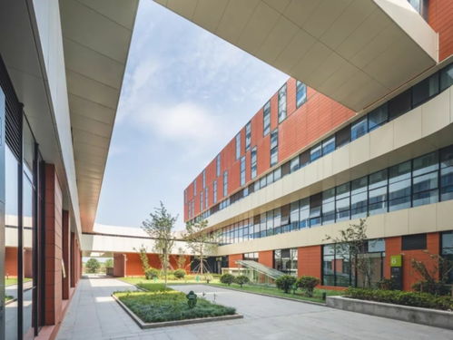 蘇州吳江經濟技術開發區人民醫院 以技術創新驅動區域醫療高質量發展